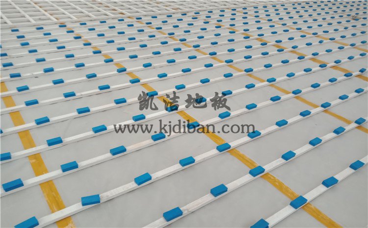 山東鄒城某中學(xué)體育館木